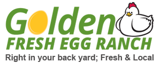 Golden Fresh Egg Ranch
